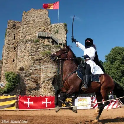 chateau de talmont IMG 2327