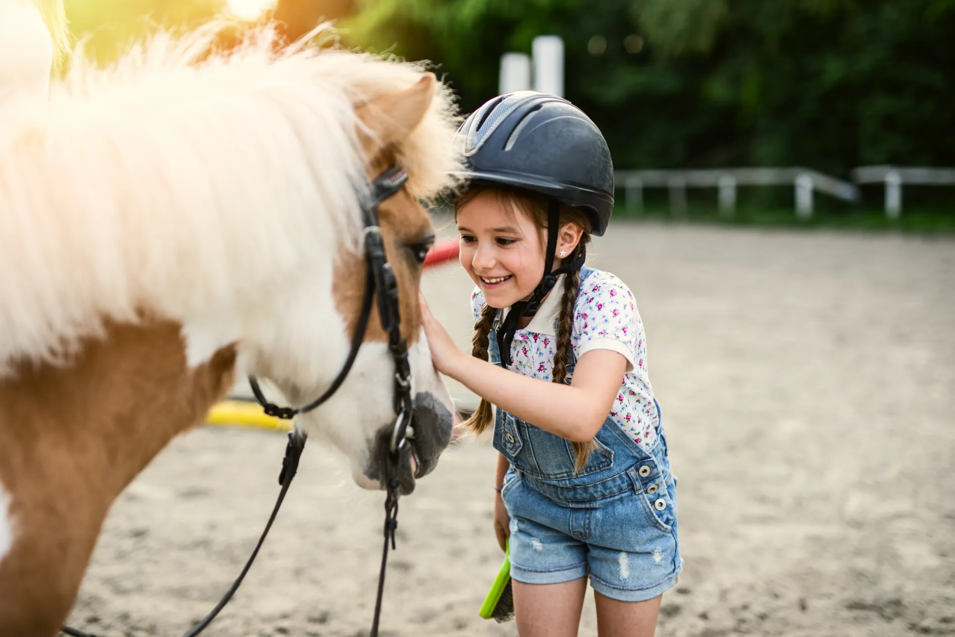Accueil 10 poney enfant