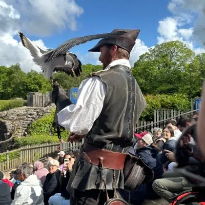 puy du fou spectacle oiseaux